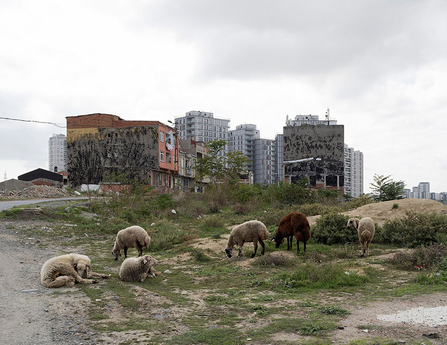 Â©Julien Chatelin 2018Turkey, Istanbul, Bashaksehir, Ayazma. 2018Most of the villagers that lived in Ayazma, were forced out by real estate companies, which organised to purchase their unregistered land.